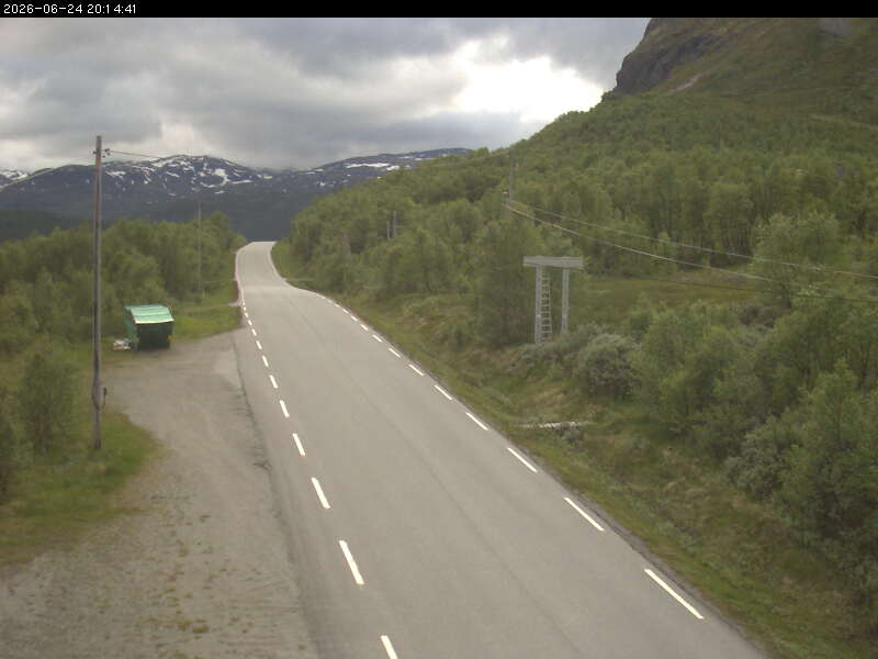 Filefjell v/Varden