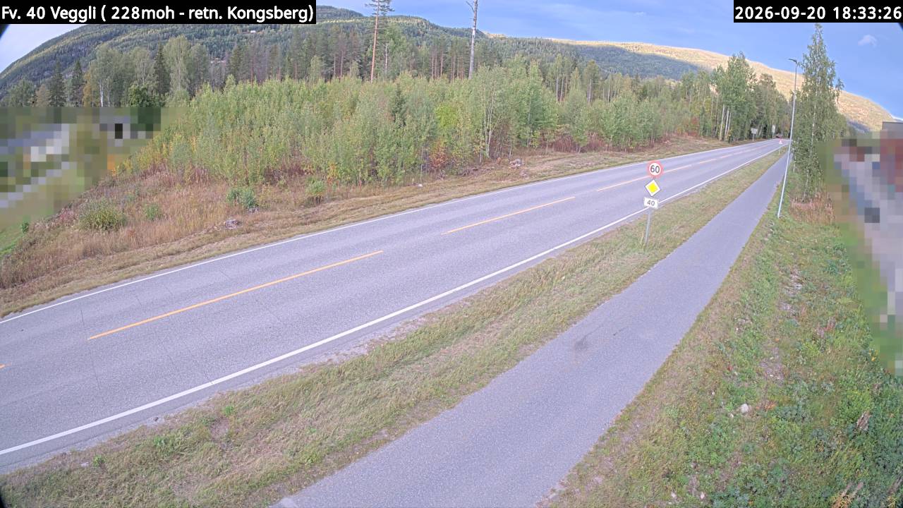 Veggli — Rollag road camera