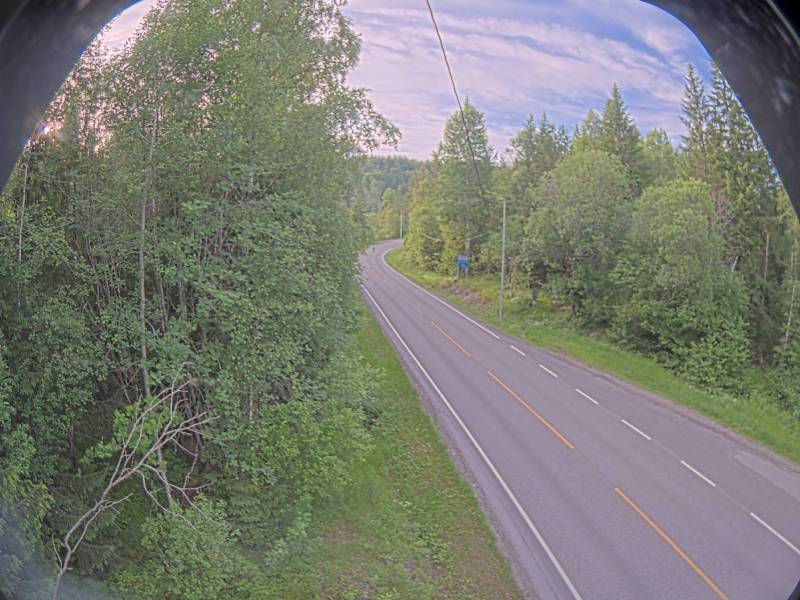 Kikut