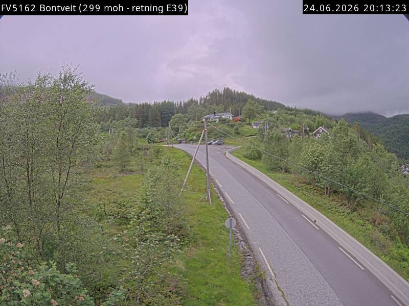 Bontveit