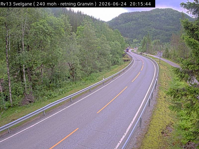 Svelgane