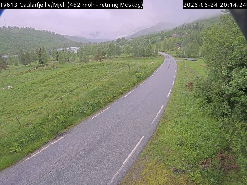 Gaularfjell v/Mjell