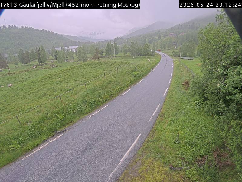 Gaularfjell v/Mjell