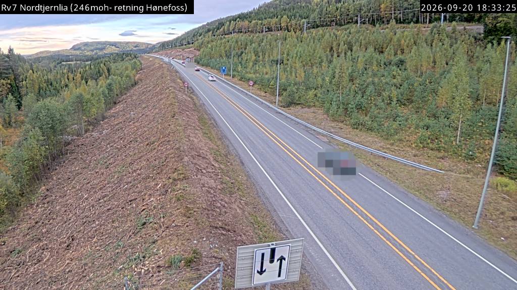 Nordtjernlia — mot Sokna road camera