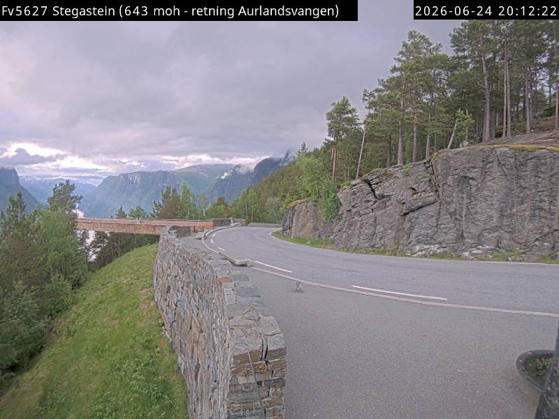 Stegasteinen