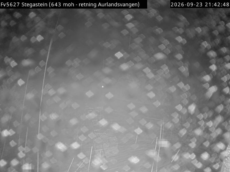 Webkamerabilde fra Stegasteinen, retning Aurlandsvangen