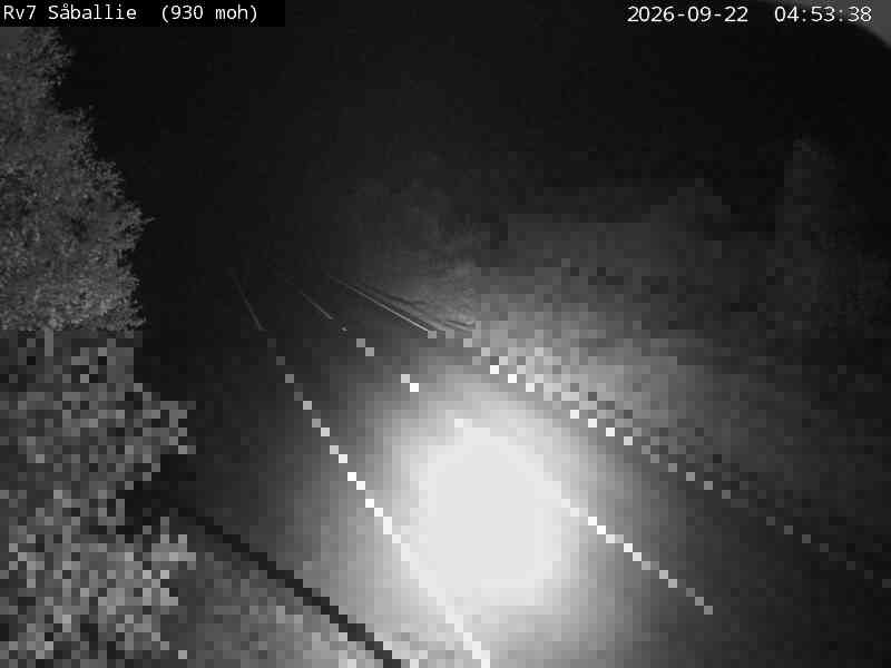 Såballie — Haugastøl road camera