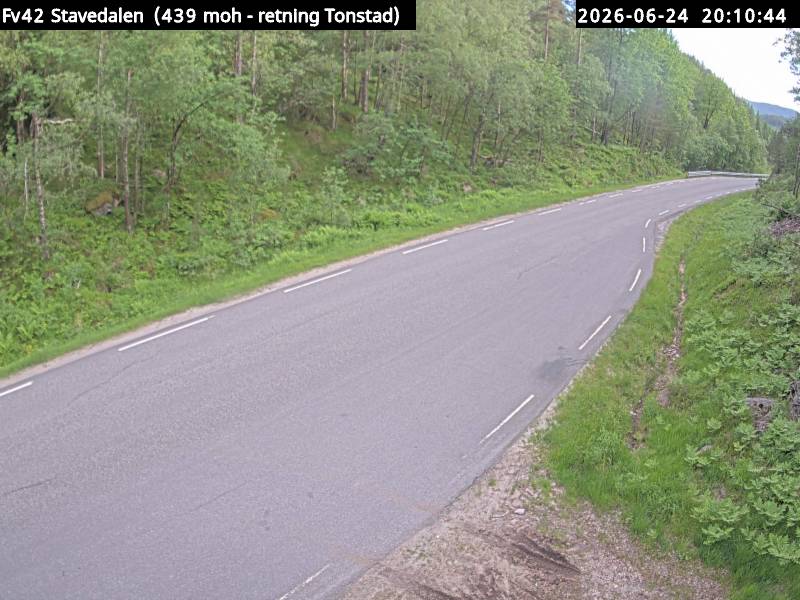 Stavedalen