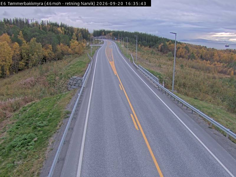Tømmerbakkmyra — Narvik road camera