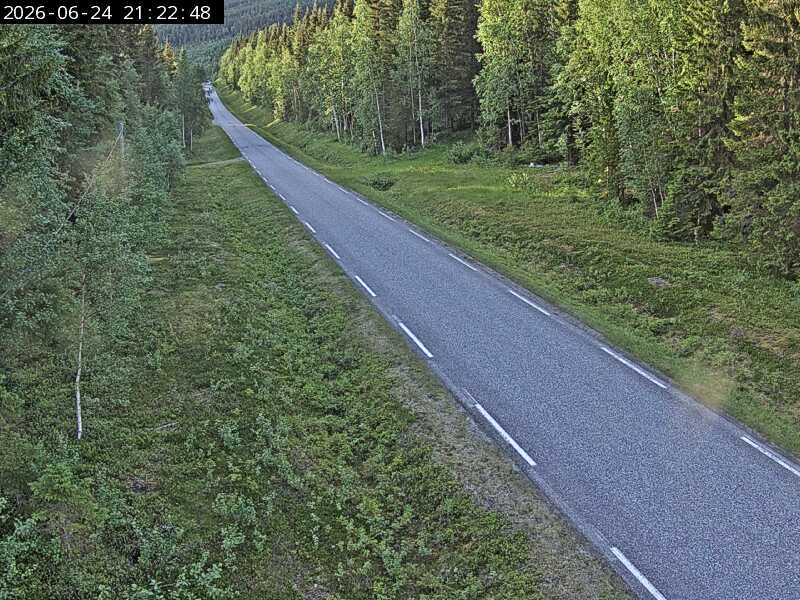 Skardmodalen