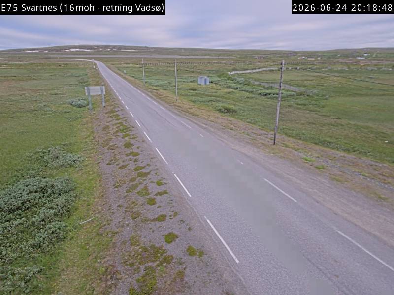 Svartnes